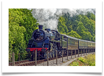 Great Western - Tony Green